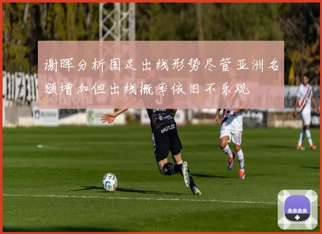 谢晖分析国足出线形势尽管亚洲名额增加但出线概率依旧不乐观